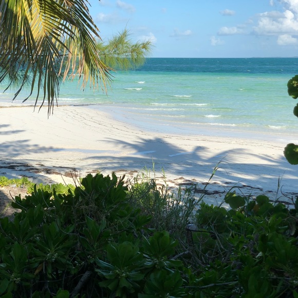 Meet your Posher, Analia - Picture 1 of 1